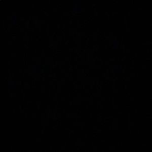 Meet your Posher, Princess